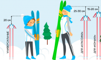 Выбор лыжных палок