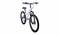 Велосипед FORWARD IRIS 24 2.0 disc (2021)