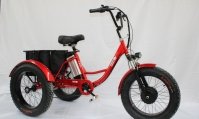 Электровелосипед GreenCamel Трайк-F20 (R20FAT 500W 48V12Ah) 7скор