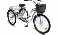 Велосипед трёхколёсный Energy-II 26"(16)