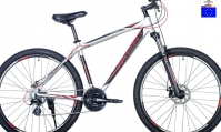 Горный велосипед Ingword PRO Disc 29 (2020)