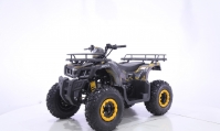 Квадроцикл MOTAX ATV Grizlik T200