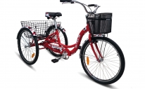 Велосипед трёхколесный Energy-I 26"(15)