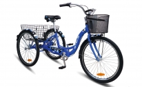Велосипед трёхколёсный Energy-III 26"(16)